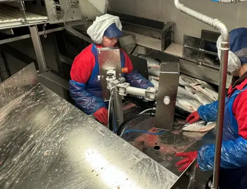 Kvalitet i alle ledd