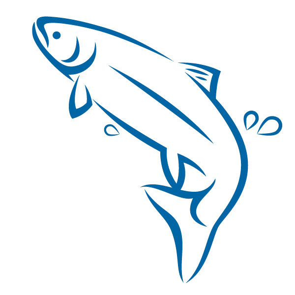 Kvalitetsmat fra havet