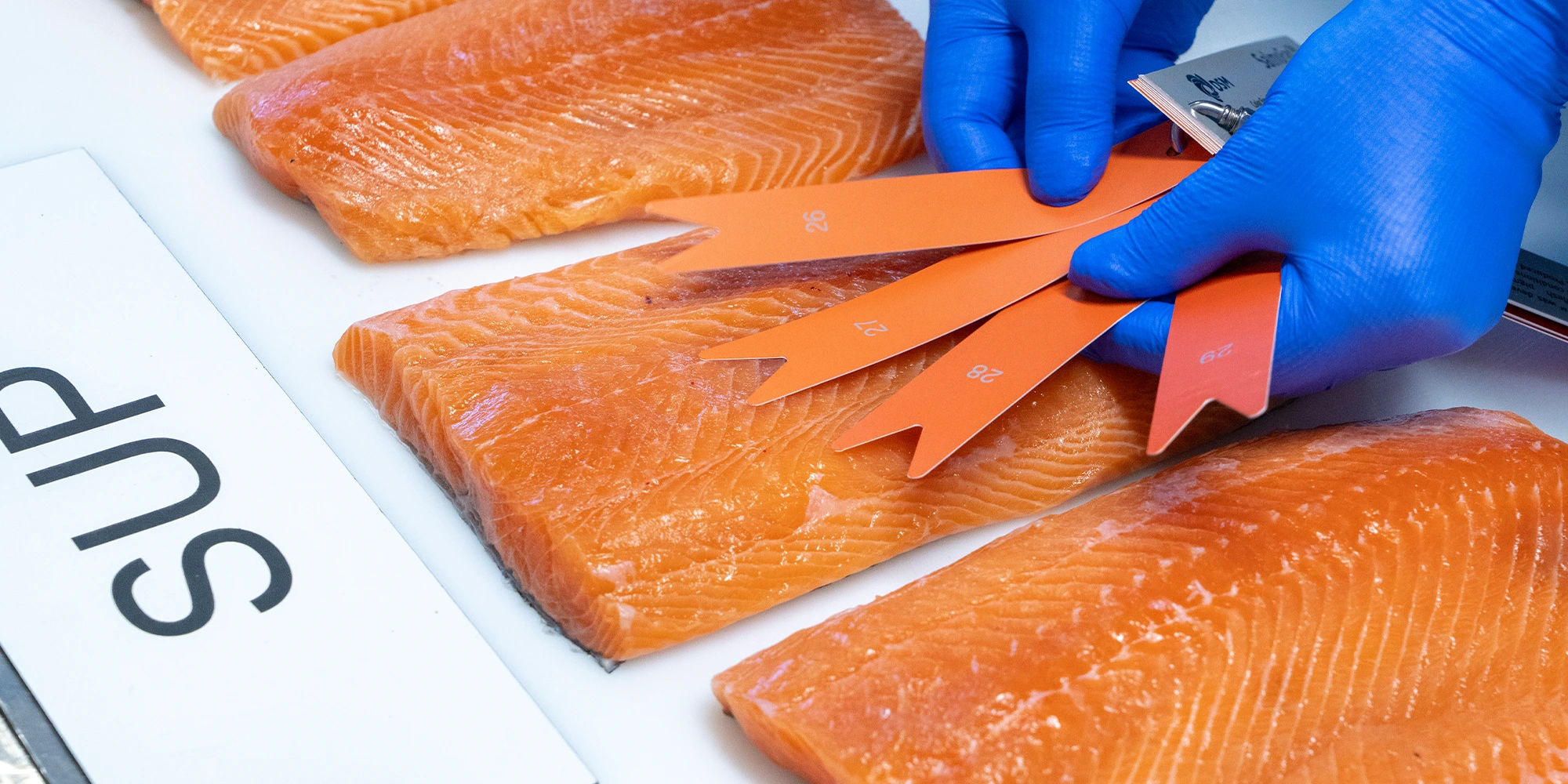 Vi er stolt leverandør på slakting og foredling av fisk.