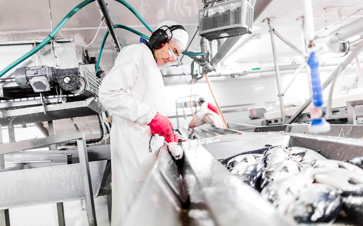 Sorteringen er fortsatt nøye håndtert – og kvaliteten alltid i fokus