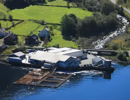 Produksjonsleder / Production Manager